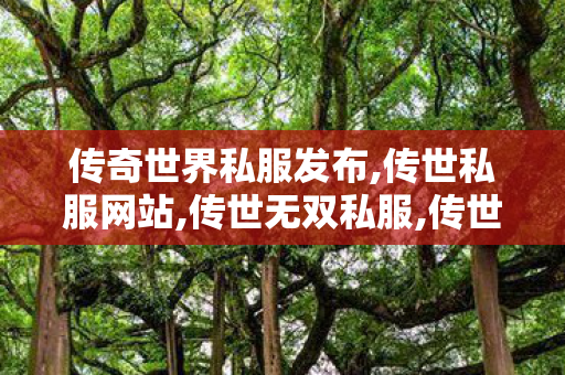 传奇世界私服发布,传世私服网站,传世无双私服,传世私服网站