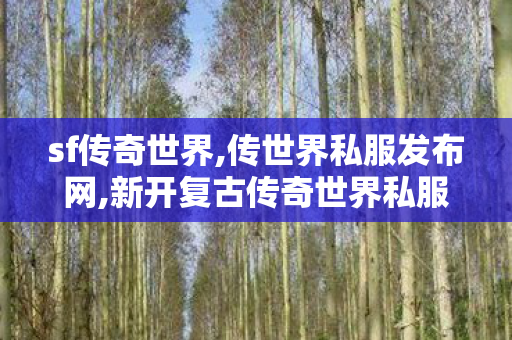sf传奇世界,传世界私服发布网,新开复古传奇世界私服,传世界私服发布网