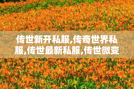 传世新开私服,传奇世界私服,传世最新私服,传世微变私服,传奇世界私服,传世最新私服
