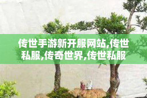 传世手游新开服网站,传世私服,传奇世界,传世私服