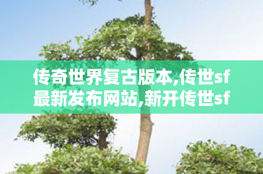 传奇世界复古版本,传世sf最新发布网站,新开传世sf发布网,传世sf最新发布网站