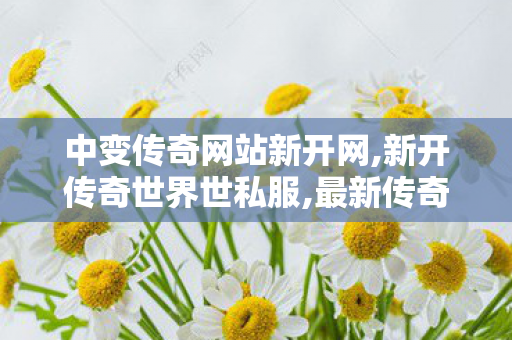 中变传奇网站新开网,新开传奇世界世私服,最新传奇发布网站,新开传奇世界世私服