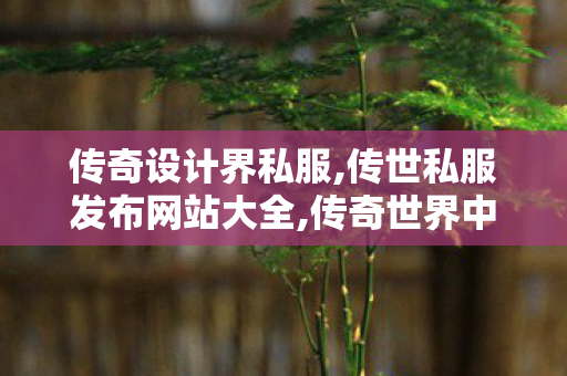 传奇设计界私服,传世私服发布网站大全,传奇世界中变,传世私服发布网站大全