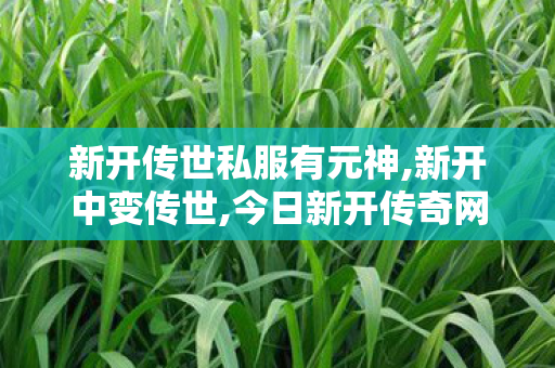 新开传世私服有元神,新开中变传世,今日新开传奇网站发布网,新开中变传世
