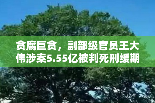 贪腐巨贪，副部级官员王大伟涉案5.55亿被判死刑缓期执行