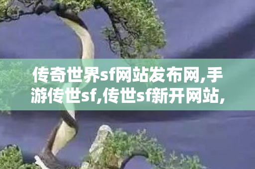 传奇世界sf网站发布网,手游传世sf,传世sf新开网站,手游传世sf