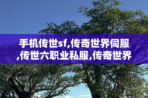 手机传世sf,传奇世界伺服,传世六职业私服,传奇世界伺服