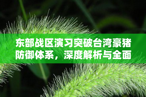 东部战区演习突破台湾豪猪防御体系，深度解析与全面分析