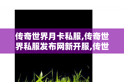 传奇世界月卡私服,传奇世界私服发布网新开服,传世网,传奇世界私服发布网新开服