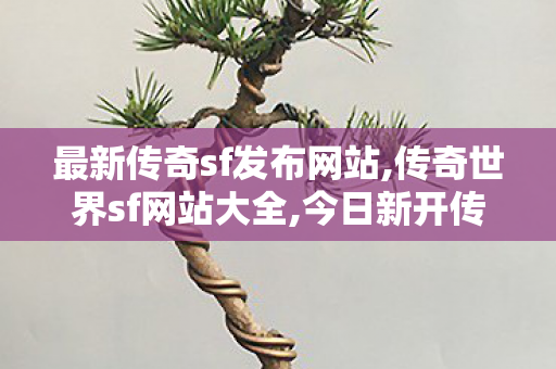 最新传奇sf发布网站,传奇世界sf网站大全,今日新开传世私服发布网,传奇世界sf网站大全
