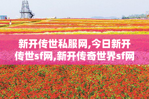新开传世私服网,今日新开传世sf网,新开传奇世界sf网,今日新开传世sf网