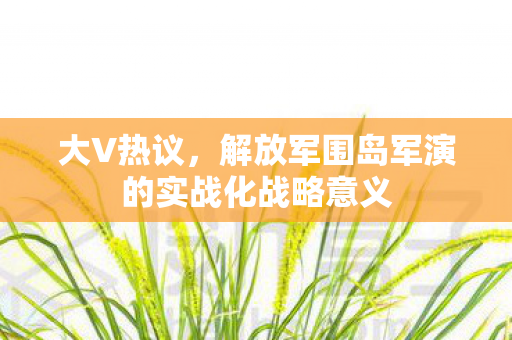 大V热议，解放军围岛军演的实战化战略意义