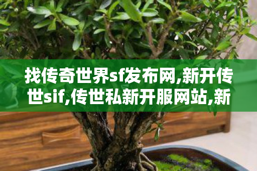 找传奇世界sf发布网,新开传世sif,传世私新开服网站,新开传世sif