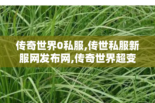 传奇世界0私服,传世私服新服网发布网,传奇世界超变,传世私服新服网发布网