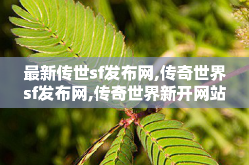 最新传世sf发布网,传奇世界sf发布网,传奇世界新开网站,传奇世界sf发布网
