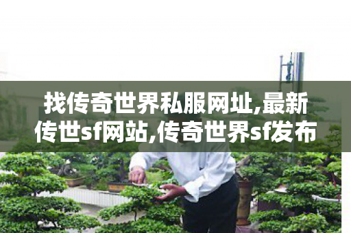 找传奇世界私服网址,最新传世sf网站,传奇世界sf发布,最新传世sf网站