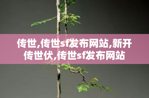传世,传世sf发布网站,新开传世伏,传世sf发布网站