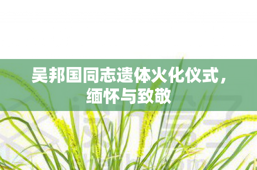 吴邦国同志遗体火化仪式，缅怀与致敬