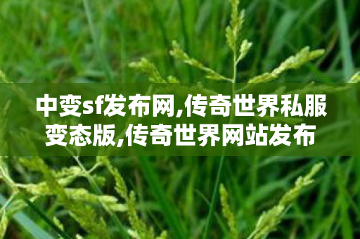 中变sf发布网,传奇世界私服变态版,传奇世界网站发布网,传奇世界私服变态版