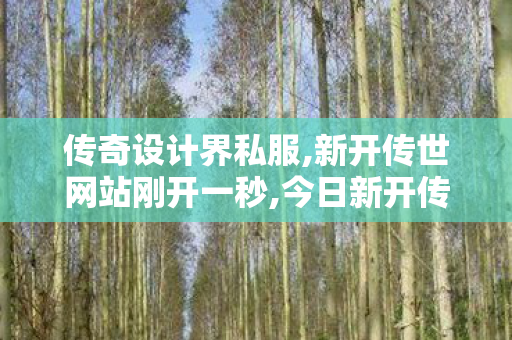 传奇设计界私服,新开传世网站刚开一秒,今日新开传世sf发布网,新开传世网站刚开一秒