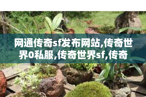 网通传奇sf发布网站,传奇世界0私服,传奇世界sf,传奇世界0私服