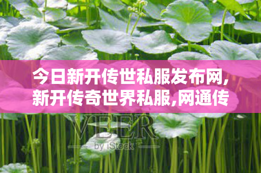 今日新开传世私服发布网,新开传奇世界私服,网通传奇私服网站,新开传奇世界私服