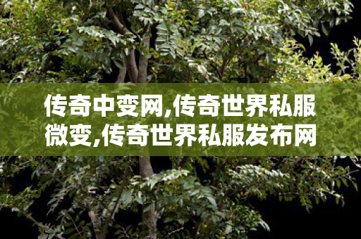传奇中变网,传奇世界私服微变,传奇世界私服发布网,传奇世界私服微变