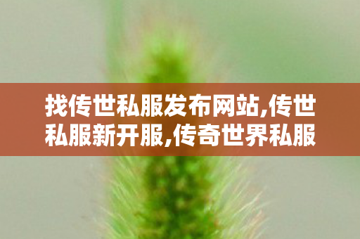 找传世私服发布网站,传世私服新开服,传奇世界私服发布网大全,传世私服新开服
