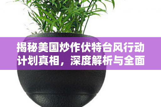 揭秘美国炒作伏特台风行动计划真相，深度解析与全面披露