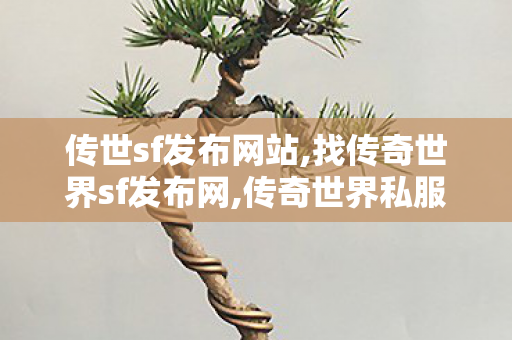 传世sf发布网站,找传奇世界sf发布网,传奇世界私服,找传奇世界sf发布网