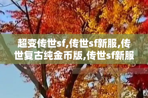 超变传世sf,传世sf新服,传世复古纯金币版,传世sf新服