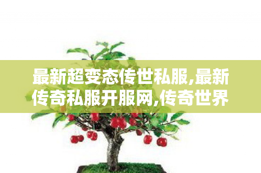 最新超变态传世私服,最新传奇私服开服网,传奇世界新服网,最新传奇私服开服网