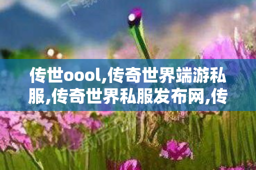 传世oool,传奇世界端游私服,传奇世界私服发布网,传奇世界端游私服