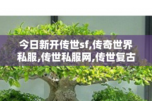 今日新开传世sf,传奇世界私服,传世私服网,传世复古纯金币版,传奇世界私服,传世私服网