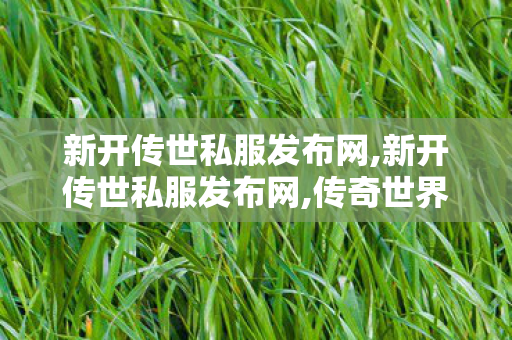 新开传世私服发布网,新开传世私服发布网,传奇世界私发服网站,新开传世私服发布网