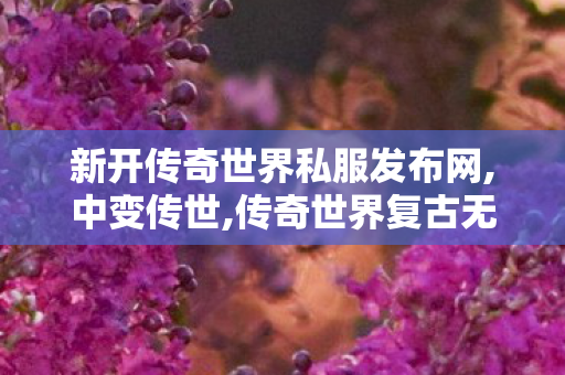 新开传奇世界私服发布网,中变传世,传奇世界复古无元神,中变传世