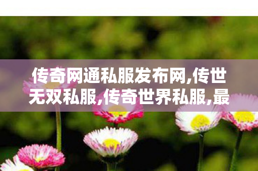 传奇网通私服发布网,传世无双私服,传奇世界私服,最新传奇世界sf,传世无双私服