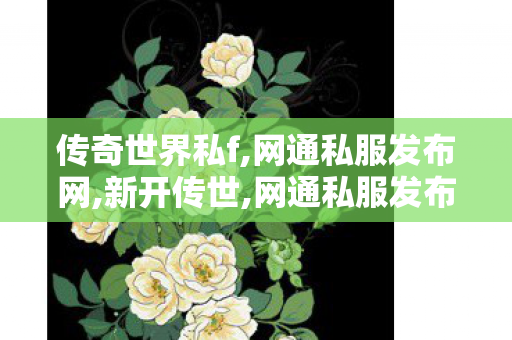 传奇世界私f,网通私服发布网,新开传世,网通私服发布网