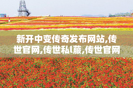 新开中变传奇发布网站,传世官网,传世私l菔,传世官网