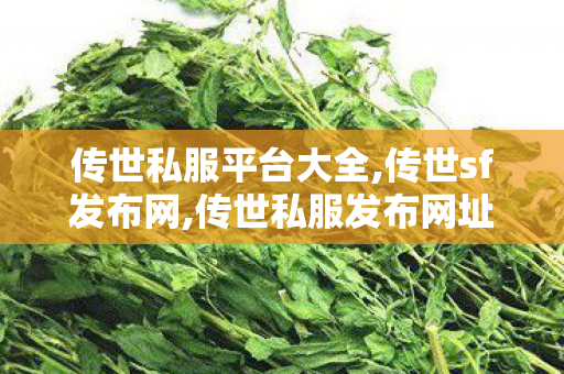 传世私服平台大全,传世sf发布网,传世私服发布网址,传世sf发布网