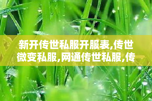 新开传世私服开服表,传世微变私服,网通传世私服,传世微变私服