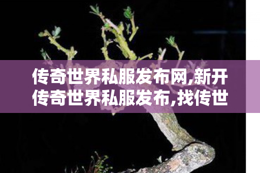 传奇世界私服发布网,新开传奇世界私服发布,找传世sf网站,新开传奇世界私服发布