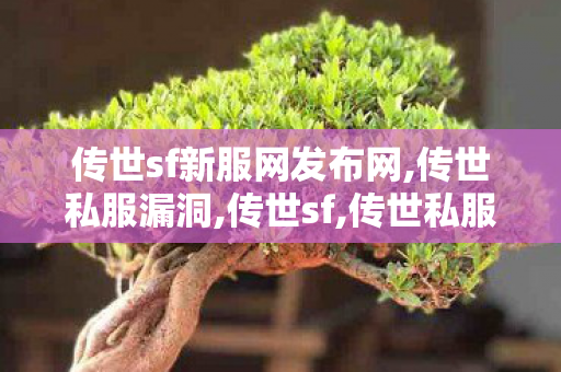 传世sf新服网发布网,传世私服漏洞,传世sf,传世私服漏洞