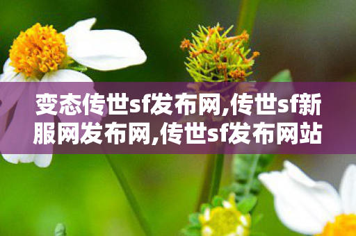 变态传世sf发布网,传世sf新服网发布网,传世sf发布网站,传世sf新服网发布网