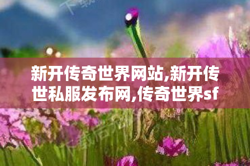 新开传奇世界网站,新开传世私服发布网,传奇世界sf发布网站,新开传世私服发布网