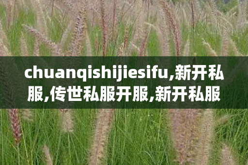 chuanqishijiesifu,新开私服,传世私服开服,新开私服
