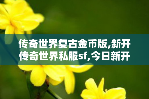 传奇世界复古金币版,新开传奇世界私服sf,今日新开传世sf,新开传奇世界私服sf