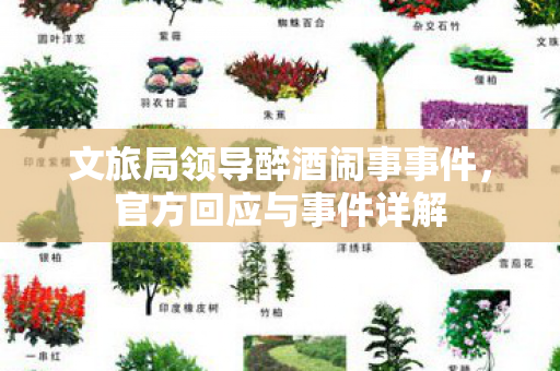 文旅局领导醉酒闹事事件，官方回应与事件详解