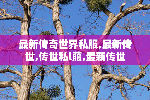 最新传奇世界私服,最新传世,传世私l菔,最新传世