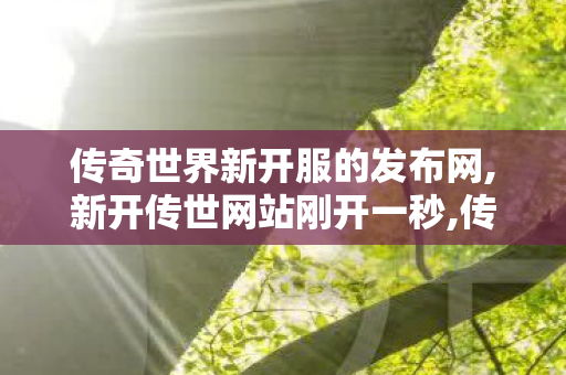 传奇世界新开服的发布网,新开传世网站刚开一秒,传奇世界sf发布网站,新开传世网站刚开一秒